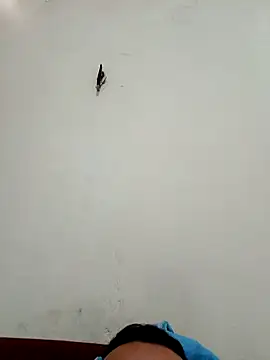 Snapshot of big16cmx chatting on November 26, 2025, 5:58 pm big16cmx online show from November 26, 2025, 5:58 pm