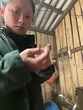 Thaoem online show from December 18, 2025, 4:29 am