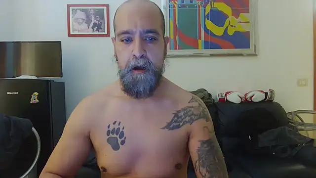 Snapshot of AMIRDIB2025 chatting on June 15, 2026, 1:57 pm AMIRDIB2025 online show from June 15, 2026, 1:57 pm