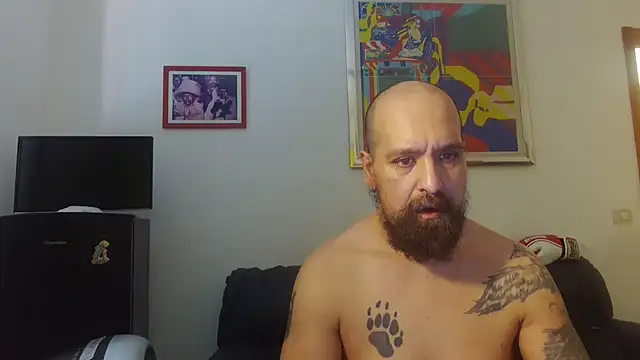 Snapshot of AMIRDIB2025 chatting on June 17, 2026, 10:50 am AMIRDIB2025 online show from June 17, 2026, 10:50 am