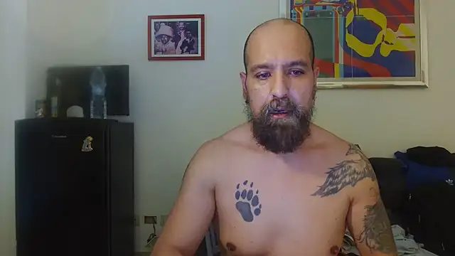 Snapshot of AMIRDIB2025 chatting on July 8, 2026, 5:39 pm AMIRDIB2025 online show from July 8, 2026, 5:39 pm