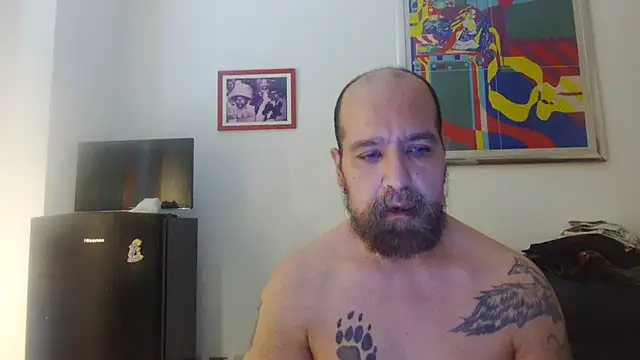 Snapshot of AMIRDIB2025 chatting on July 19, 2026, 4:33 pm AMIRDIB2025 online show from July 19, 2026, 4:33 pm