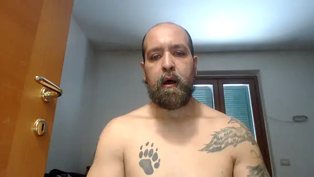 Snapshot of AMIRDIB2025 chatting on July 21, 2026, 3:25 pm AMIRDIB2025 online show from July 21, 2026, 3:25 pm