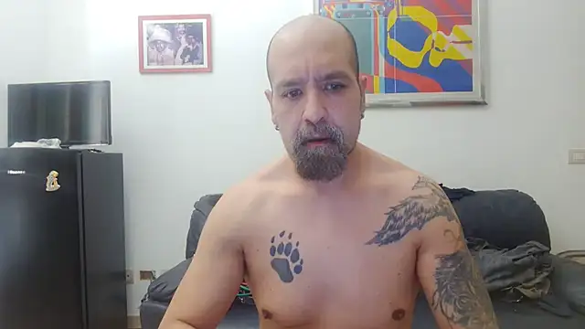 Snapshot of AMIRDIB2025 chatting on July 28, 2026, 7:26 am AMIRDIB2025 online show from July 28, 2026, 7:26 am