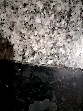 Snapshot of kannada_siri123 chatting on March 1, 2026, 12:56 am kannada siri123 online show from March 1, 2026, 12:56 am