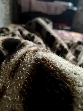 Snapshot of Mahi-Aman chatting on December 5, 2025, 2:42 am Mahi-Aman online show from December 5, 2025, 2:42 am