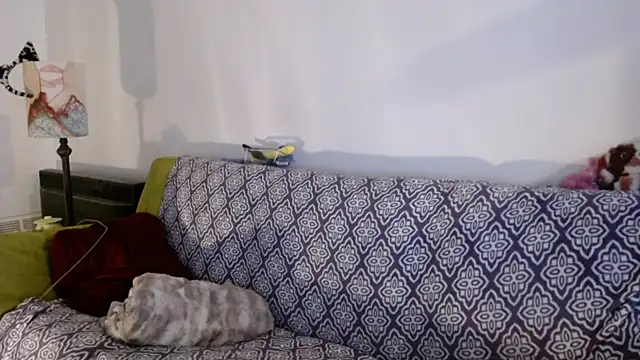 Snapshot of DeliaBlew chatting on December 4, 2025, 3:10 pm DeliaBlew online show from December 4, 2025, 3:10 pm