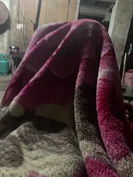 Snapshot of anh-soi123 chatting on March 11, 2026, 5:41 pm anh-soi123 online show from March 11, 2026, 5:41 pm