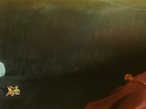 Snapshot of Bristi_03 chatting on June 15, 2026, 1:02 pm Bristi 03 online show from June 15, 2026, 1:02 pm