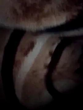 Snapshot of pihuu1313 chatting on February 9, 2026, 3:21 am pihuu1313 online show from February 9, 2026, 3:21 am