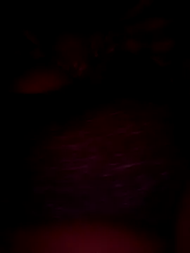 Snapshot of pihuu1313 chatting on February 20, 2026, 7:58 pm pihuu1313 online show from February 20, 2026, 7:58 pm