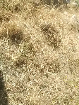 Snapshot of DanielGr27 chatting on December 20, 2025, 7:10 pm DanielGr27 online show from December 20, 2025, 7:10 pm