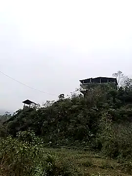 neko-nancy online show from January 7, 2026, 7:55 am