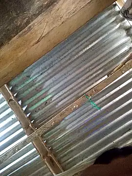 Snapshot of Rousse_uwu chatting on January 8, 2026, 5:15 pm Rousse uwu online show from January 8, 2026, 5:15 pm