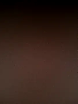 Snapshot of Rousse_uwu chatting on February 11, 2026, 3:55 am Rousse uwu online show from February 11, 2026, 3:55 am