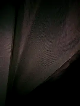 Snapshot of Rousse_uwu chatting on February 19, 2026, 4:19 am Rousse uwu online show from February 19, 2026, 4:19 am