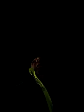 Snapshot of marcoboss chatting on December 13, 2025, 10:26 pm marcoboss online show from December 13, 2025, 10:26 pm