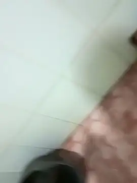 Pitrasire online show from December 17, 2025, 3:51 pm