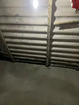 Nika-be online show from March 27, 2026, 11:43 am