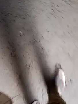 Snapshot of Nick_universal chatting on February 28, 2026, 1:06 am Nick universal online show from February 28, 2026, 1:06 am