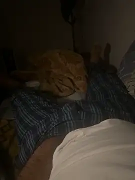 Snapshot of Night_outcam chatting on February 17, 2026, 7:20 pm Night outcam online show from February 17, 2026, 7:20 pm