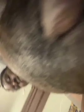 Snapshot of melaninpoppop chatting on January 18, 2026, 1:42 am melaninpoppop online show from January 18, 2026, 1:42 am