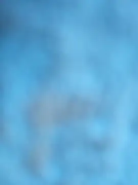 Snapshot of layanehot chatting on December 21, 2025, 6:26 pm layanehot online show from December 21, 2025, 6:26 pm