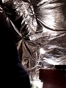 Snapshot of Quebec46 chatting on February 20, 2026, 10:10 pm Quebec46 online show from February 20, 2026, 10:10 pm