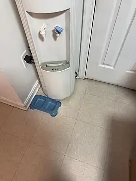 tigre6911 online show from December 16, 2025, 9:36 am