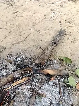 rahulsexybhabhi online show from December 18, 2025, 5:02 am