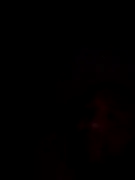 mikeeddy1517 online show from December 17, 2025, 6:30 am