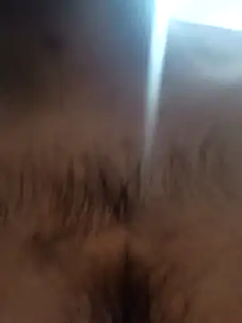 Snapshot of bnglrboy0886 chatting on February 7, 2026, 12:14 am bnglrboy0886 online show from February 7, 2026, 12:14 am