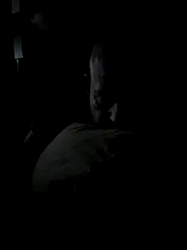 K9handler1 online show from December 16, 2025, 11:32 pm