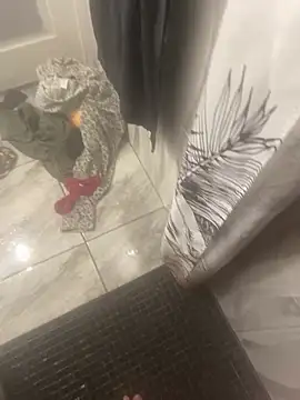 Snapshot of Miguel_667 chatting on February 9, 2026, 11:25 am Miguel 667 online show from February 9, 2026, 11:25 am