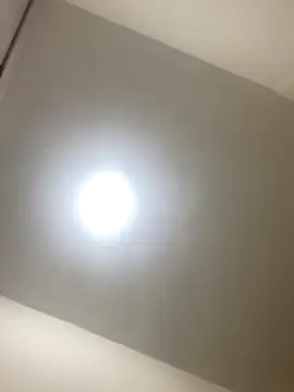 Snapshot of roger_rabiit chatting on December 19, 2025, 1:12 am roger rabiit online show from December 19, 2025, 1:12 am