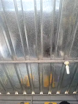 Snapshot of biggy_mash chatting on December 17, 2025, 10:32 am biggy mash online show from December 17, 2025, 10:32 am