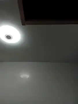 zeur online show from January 15, 2026, 12:10 pm