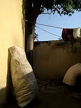 novio-de-la-tarde online show from April 5, 2026, 2:31 am