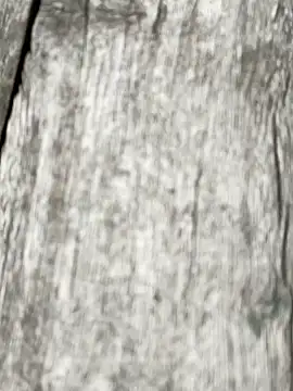 arman  sarkar online show from December 21, 2025, 7:37 am