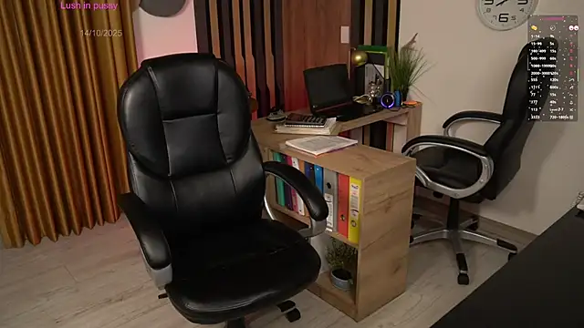 Snapshot of secretary_bj chatting on October 14, 2025, 1:17 am secretary bj online show from October 14, 2025, 1:17 am