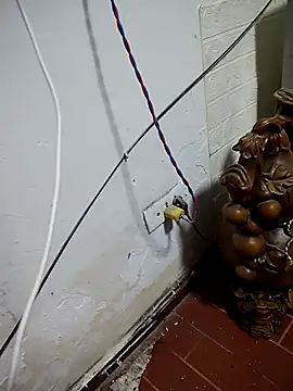 Snapshot of thobaby99 chatting on January 9, 2026, 7:55 am thobaby99 online show from January 9, 2026, 7:55 am