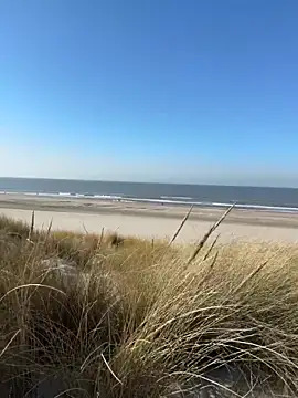 Snapshot of friemeldepiemel chatting on March 5, 2026, 1:18 pm friemeldepiemel online show from March 5, 2026, 1:18 pm