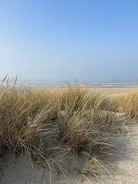 Snapshot of friemeldepiemel chatting on March 8, 2026, 12:42 pm friemeldepiemel online show from March 8, 2026, 12:42 pm