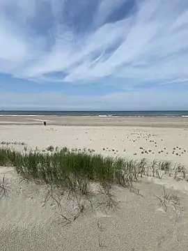friemeldepiemel online show from June 1, 2026, 12:18 pm