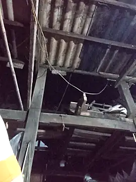 dakota-kis online show from March 30, 2026, 11:44 am