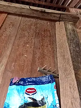 dakota-kis online show from April 6, 2026, 5:08 am