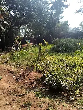 Snapshot of janbi_sexe chatting on January 14, 2026, 5:46 am janbi sexe online show from January 14, 2026, 5:46 am