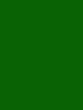 Snapshot of RuEnEd chatting on February 12, 2026, 3:40 pm RuEnEd online show from February 12, 2026, 3:40 pm