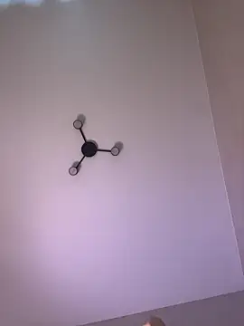 BabyKamiTV online show from February 24, 2026, 1:53 pm