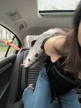 mo-mo-69 online show from April 3, 2026, 2:09 am